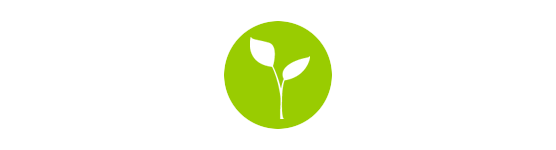  Plantas
